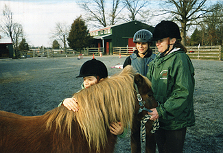 Hug Pony