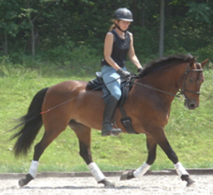 BCKinthesaddle small